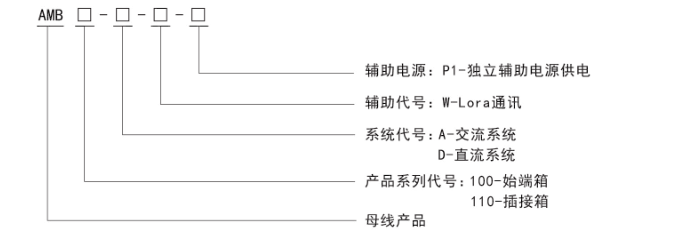 AMB100型號(hào)說(shuō)明.png